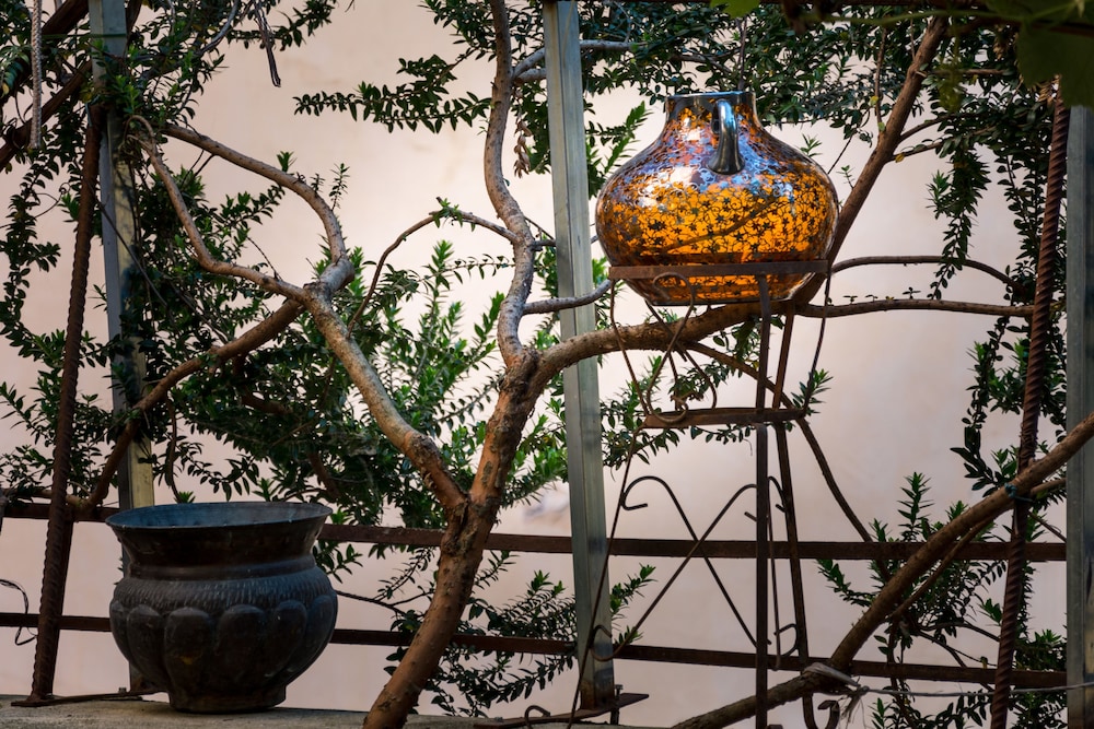 B&B Sara