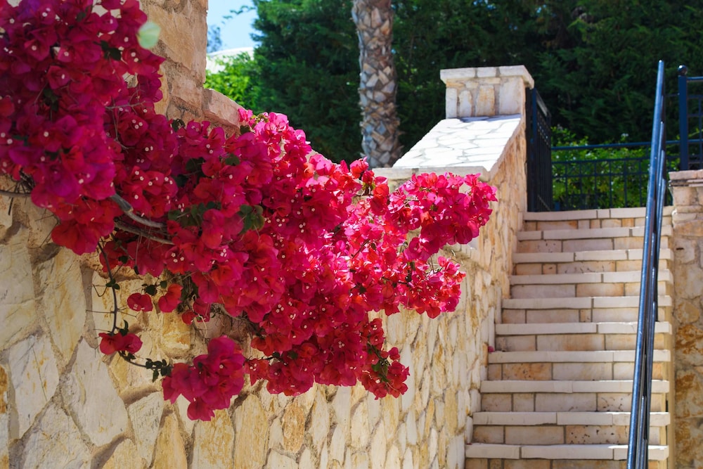 Il Tesori Dassia Villas