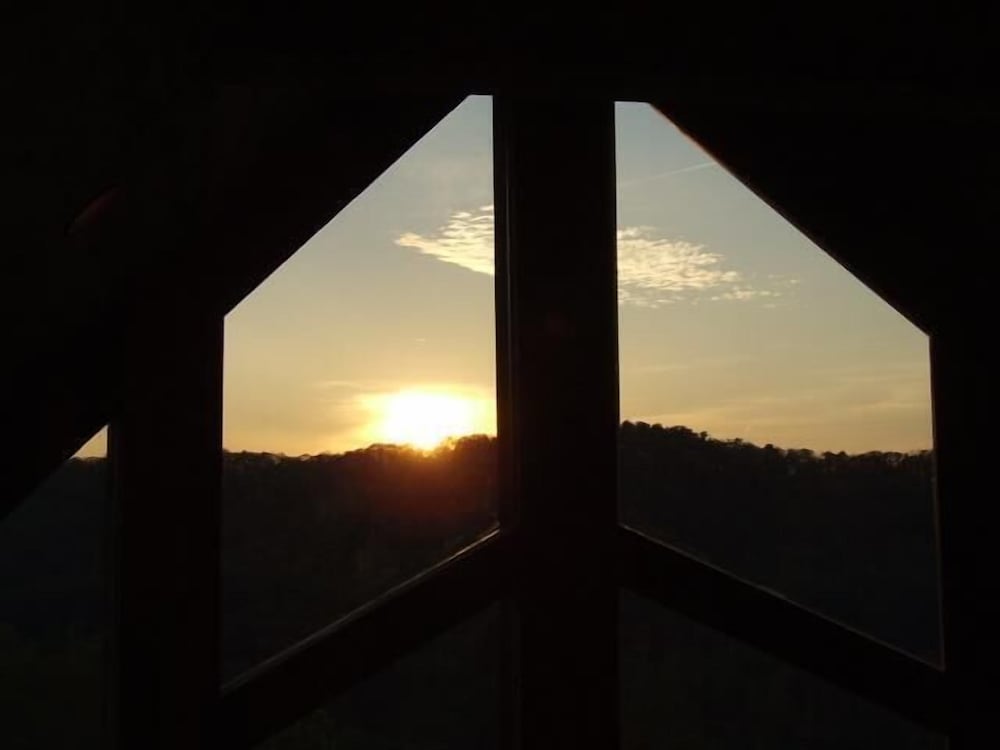 Wild Things Nevaeh Cabin Rentals