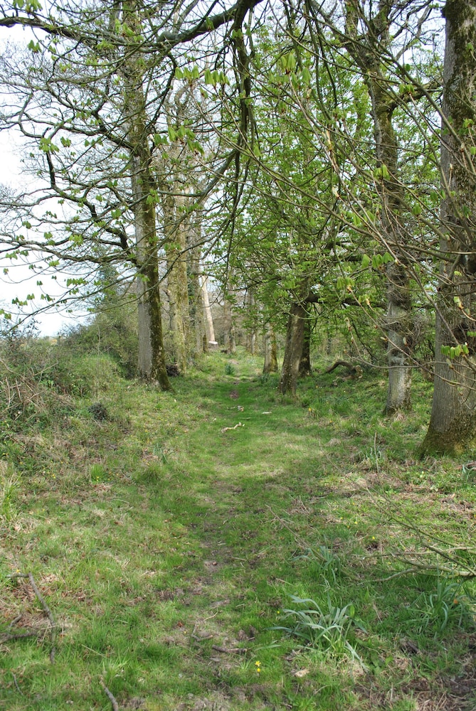 Killiane Castle Country House & Farm