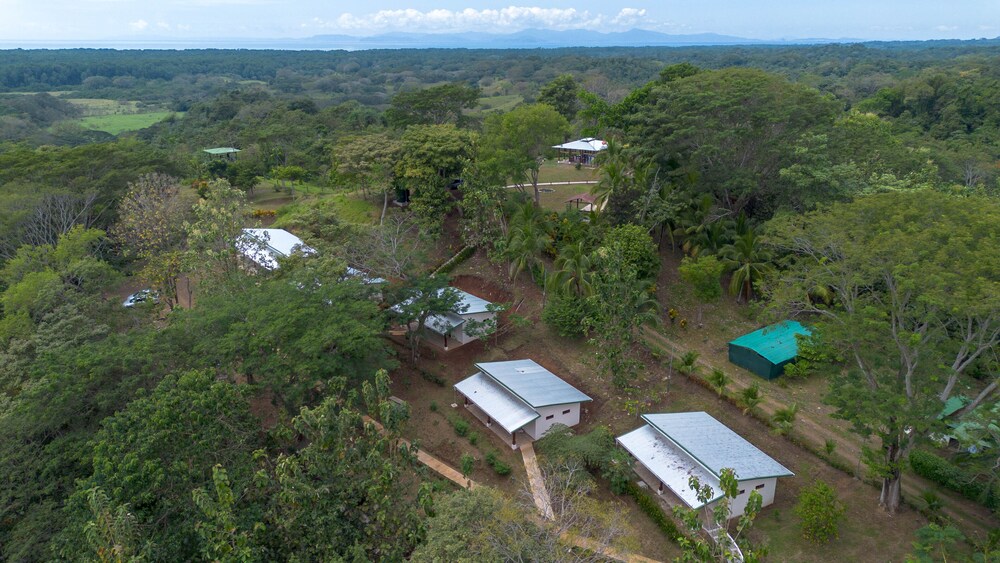 Tarcoles Birding Lodge