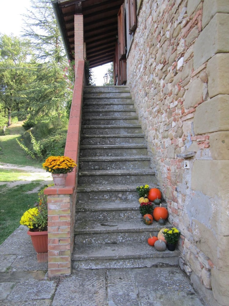 Photo 37