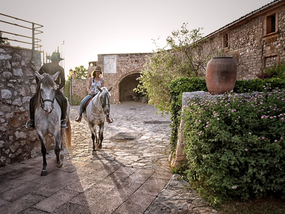 Hotel Sa Bassa Rotja Ecoturisme