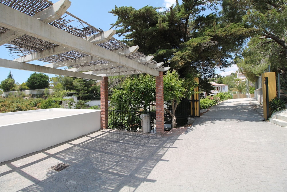 Photo 19