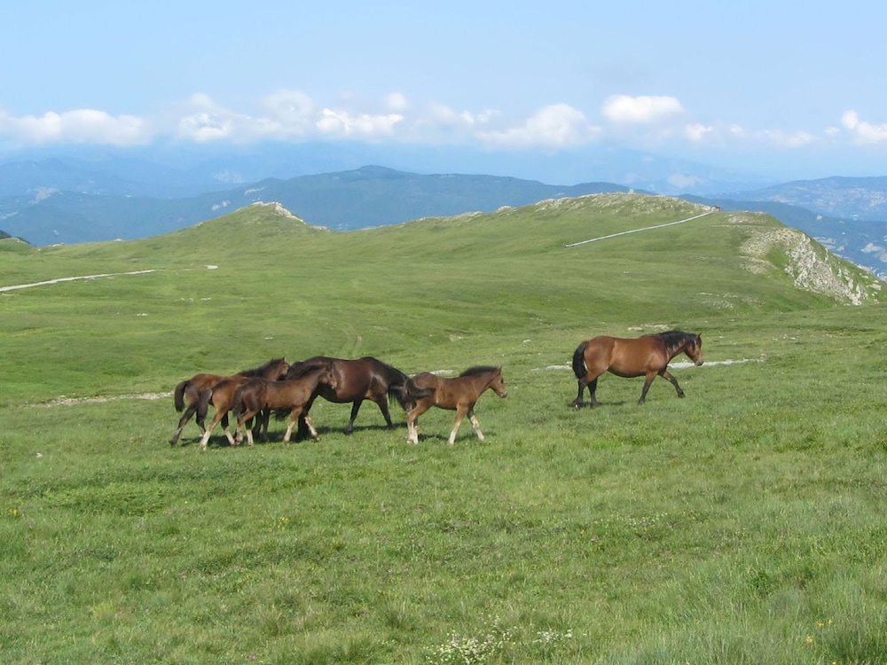 Residence Cimone