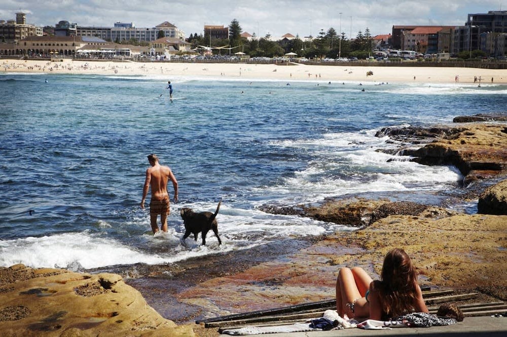 Bondi Breeze Apartment