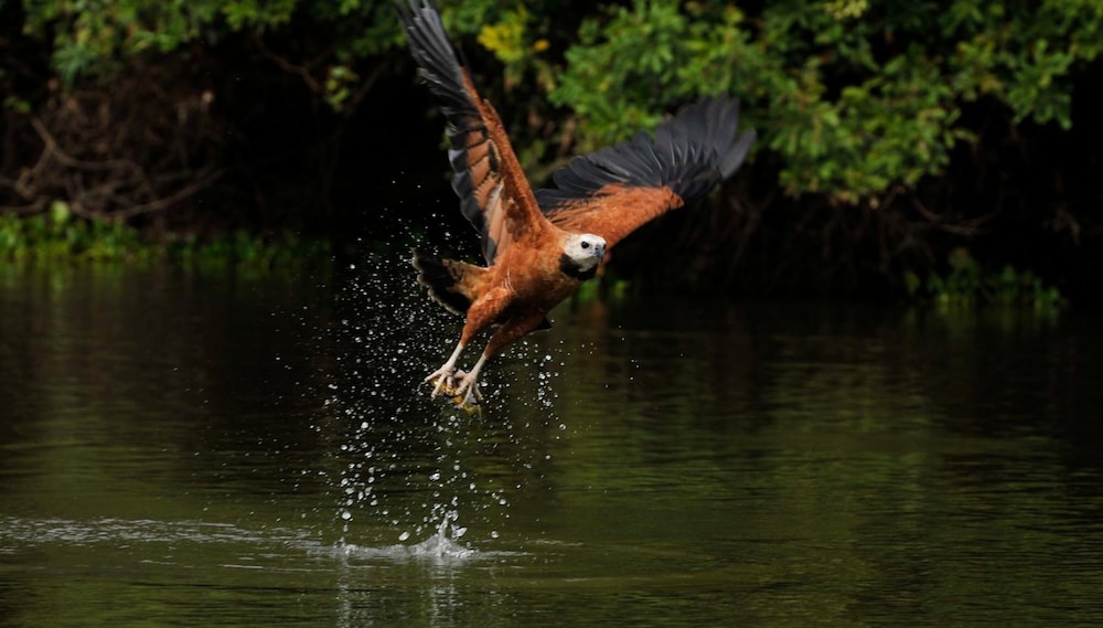 Pousada Rio Claro