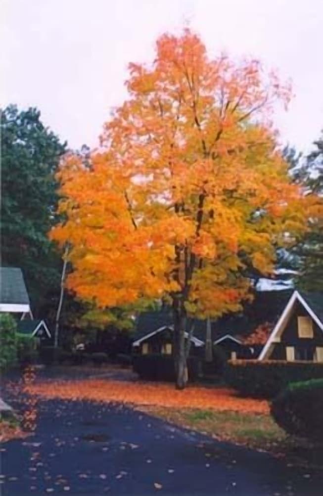 Amber Lantern Lake George Motel and Cottage Rentals