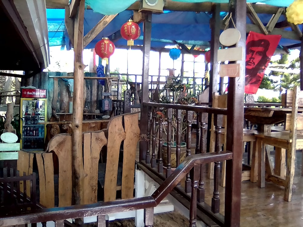 Windy Willow's