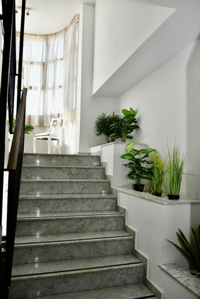 Hostal Garden Rous view 5