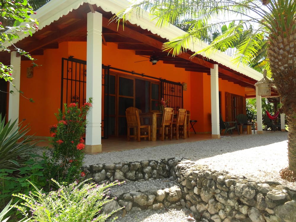 Hotel El Pequeño Gecko Verde