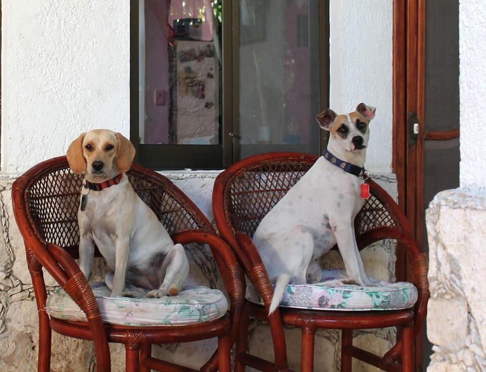 Alicia's Bed & Breakfast