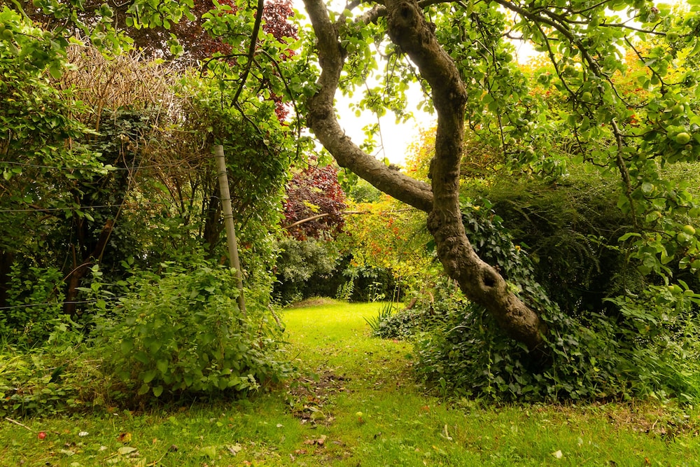 Blackbird Cottage