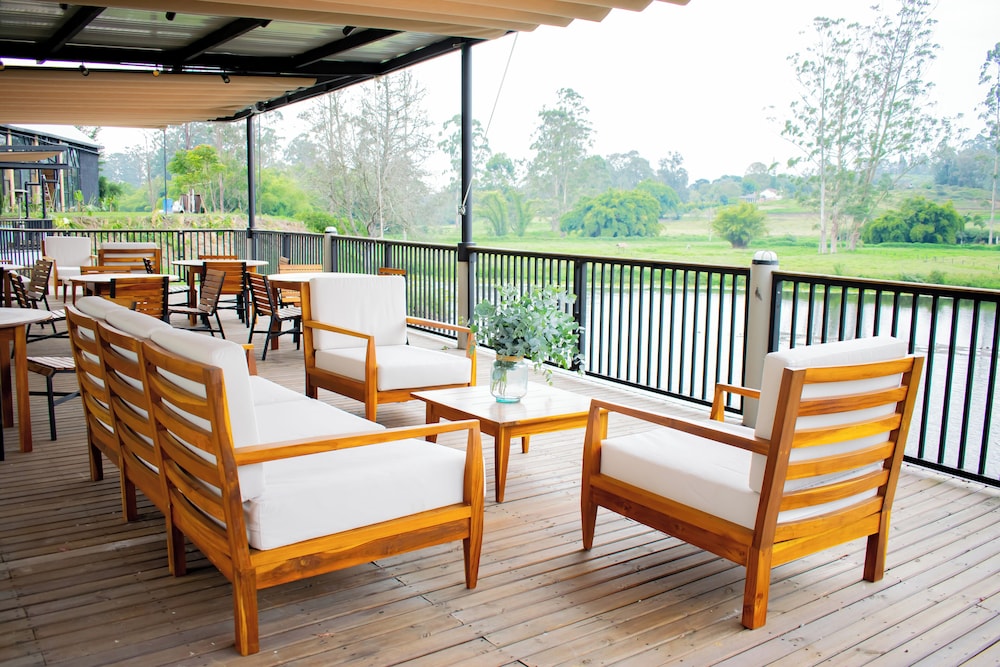 Monarch Campestre