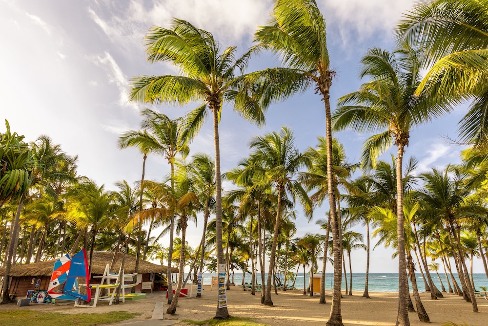 Playabachata - Property Image 96