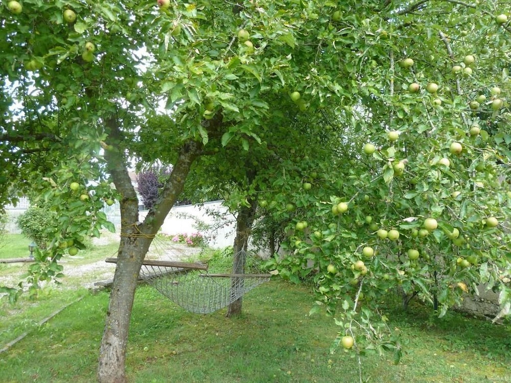 Photo 17