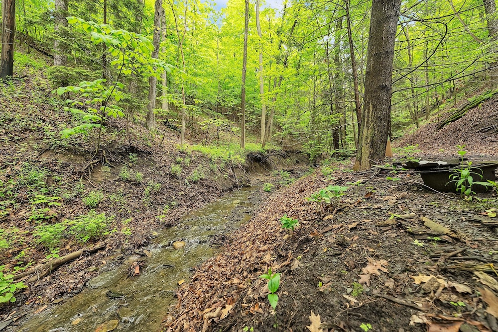 Peaceful Lakefront Getaway On Cayuga Lake 4 Bedroom Cottage
