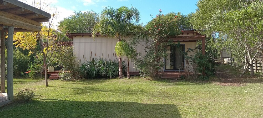 Photo 25