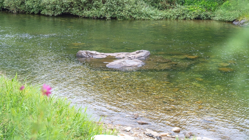 Photo 49