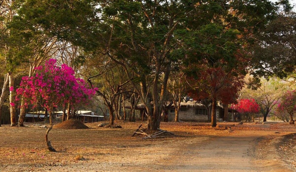 Jungle Hut Resorts