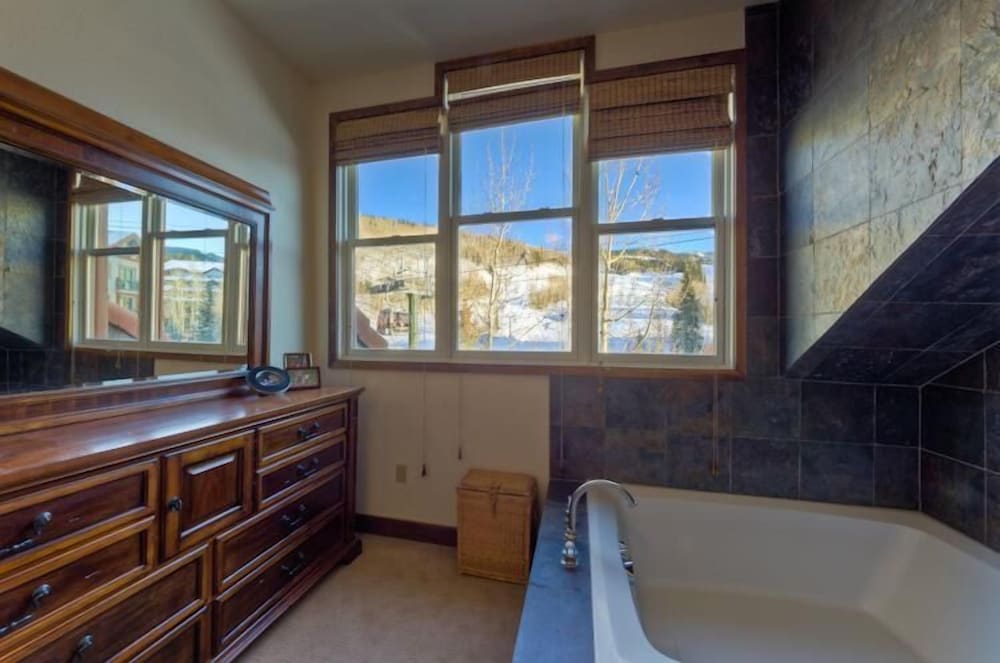 Columbia Place 8 1 BedrmCondo By Accommodations in Telluride
