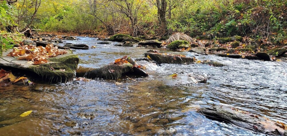 Catskill Retreat