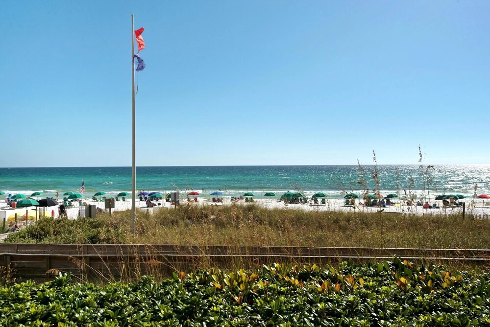 Edgewater #303
