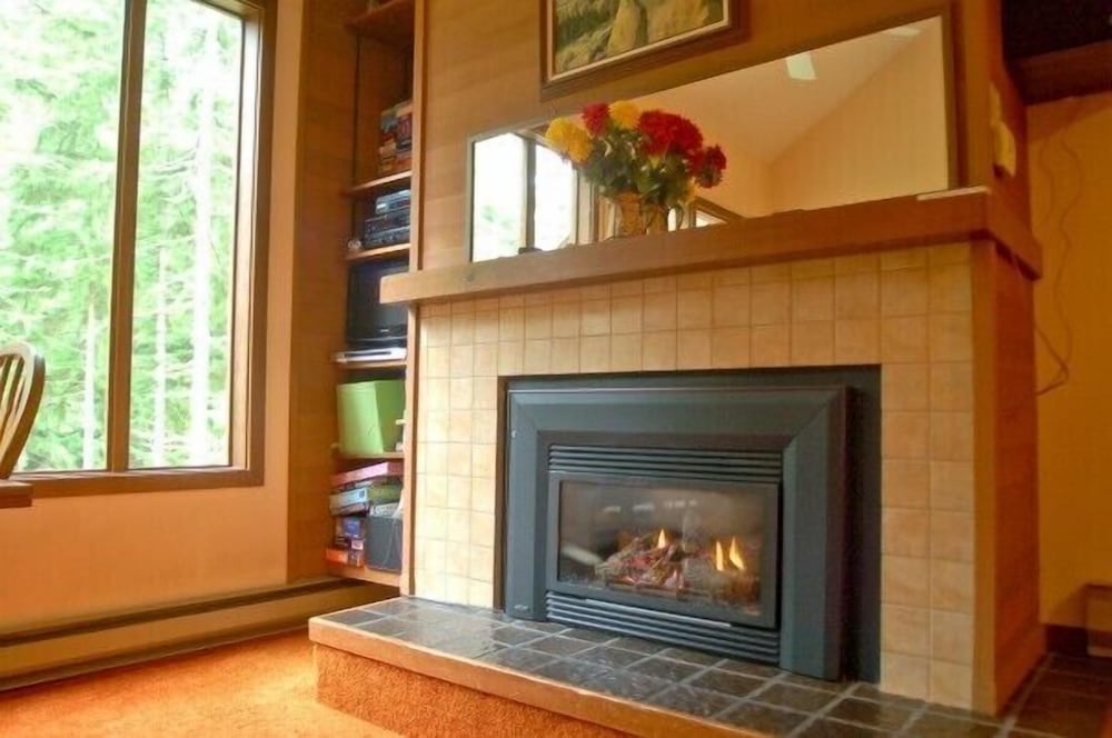 Mt Baker Lodging Condo 85 - Sleeps 4 view 3