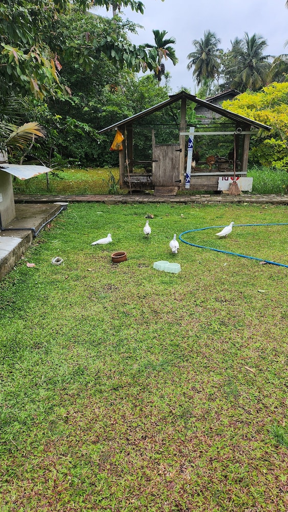 Steps Garden Resort