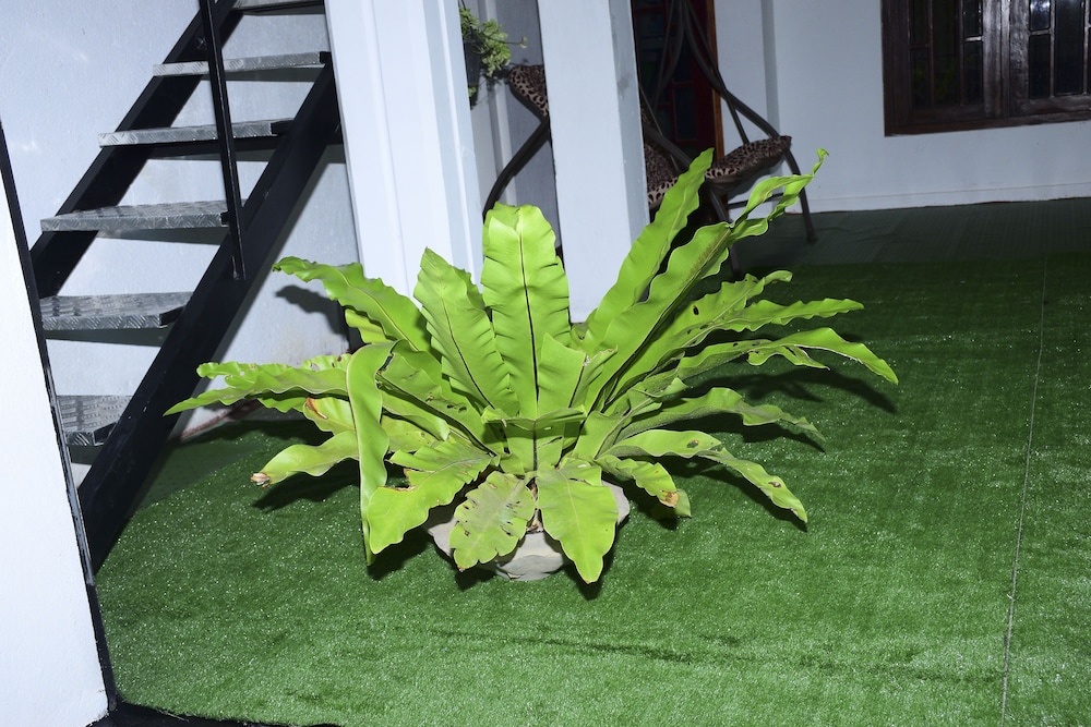 Photo 52