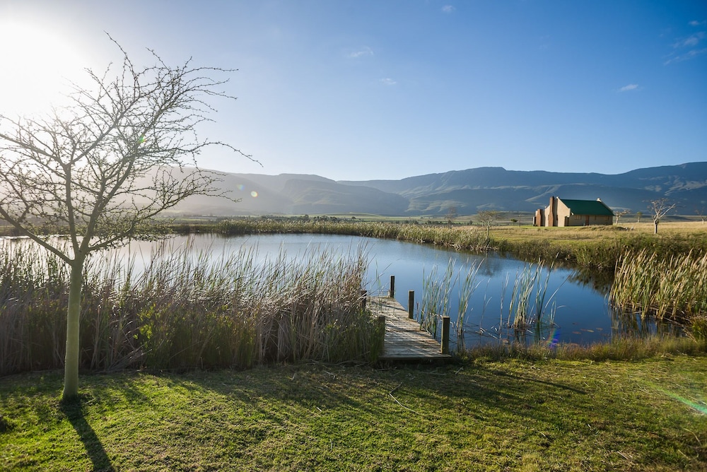 Kwetu Guest Farm