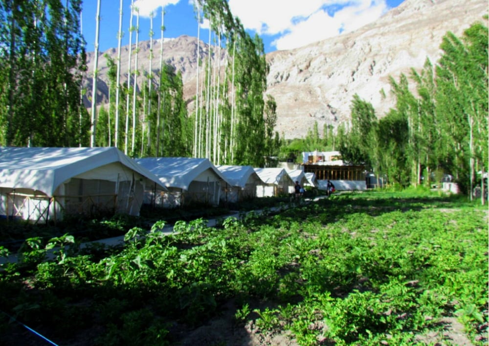 TIH Mystique Meadows Camp
