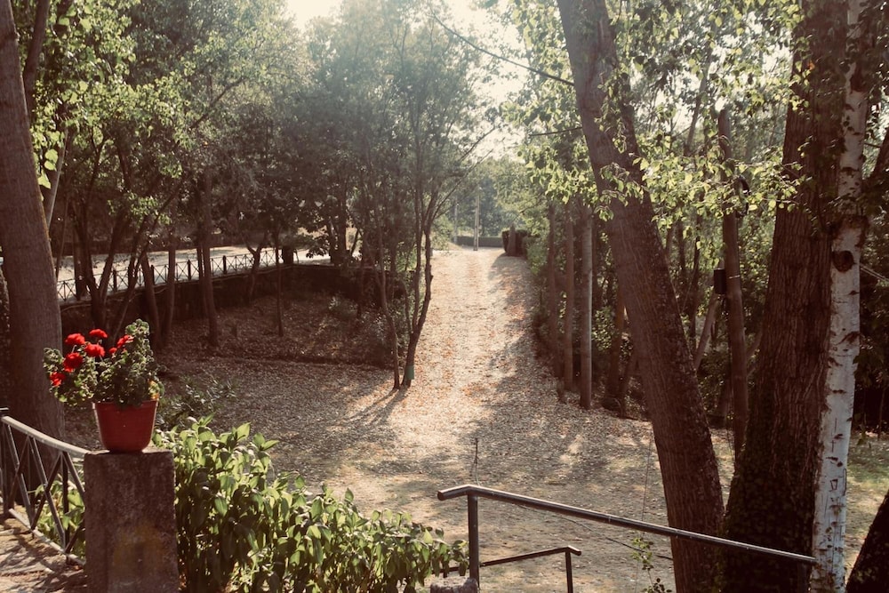 Photo 45