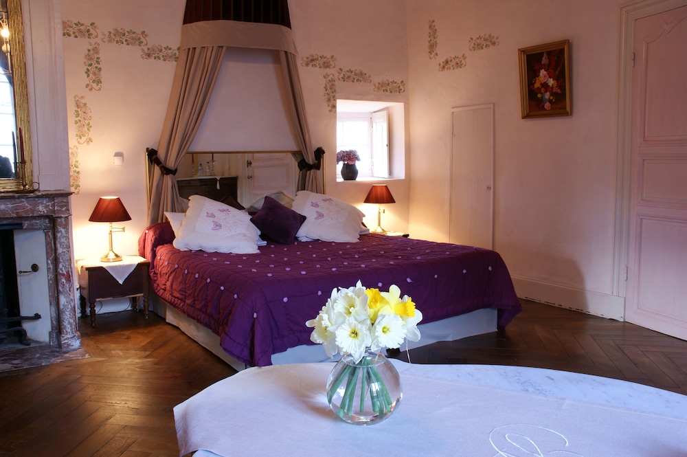 Chateau Des Martinanches photo 4
