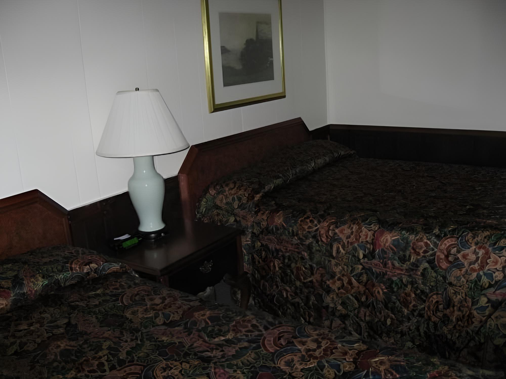 Sea Whale Motel - Property Image 43