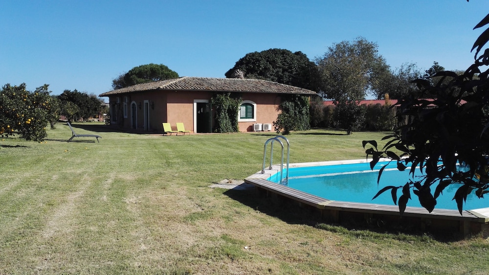 Photo 39