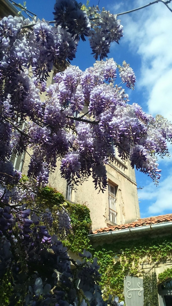 Chambres d'hôtes Maison Auguste view 4