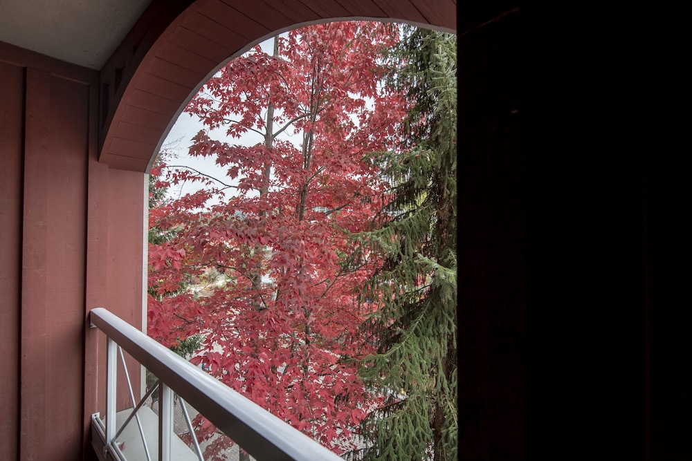 Whistler Town Plaza - Image 2