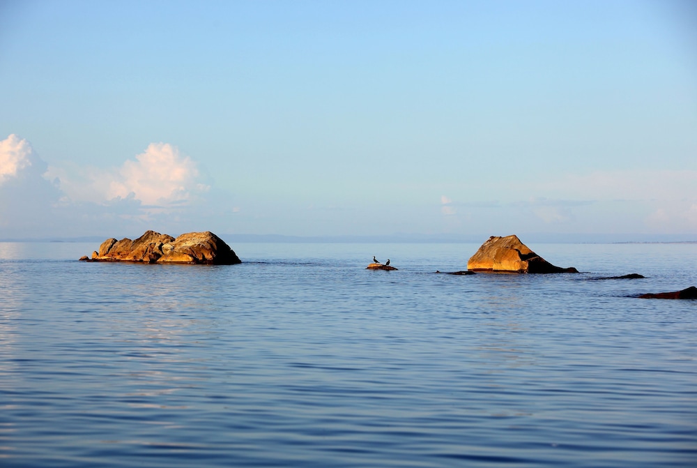 Blue Zebra Island Lodge