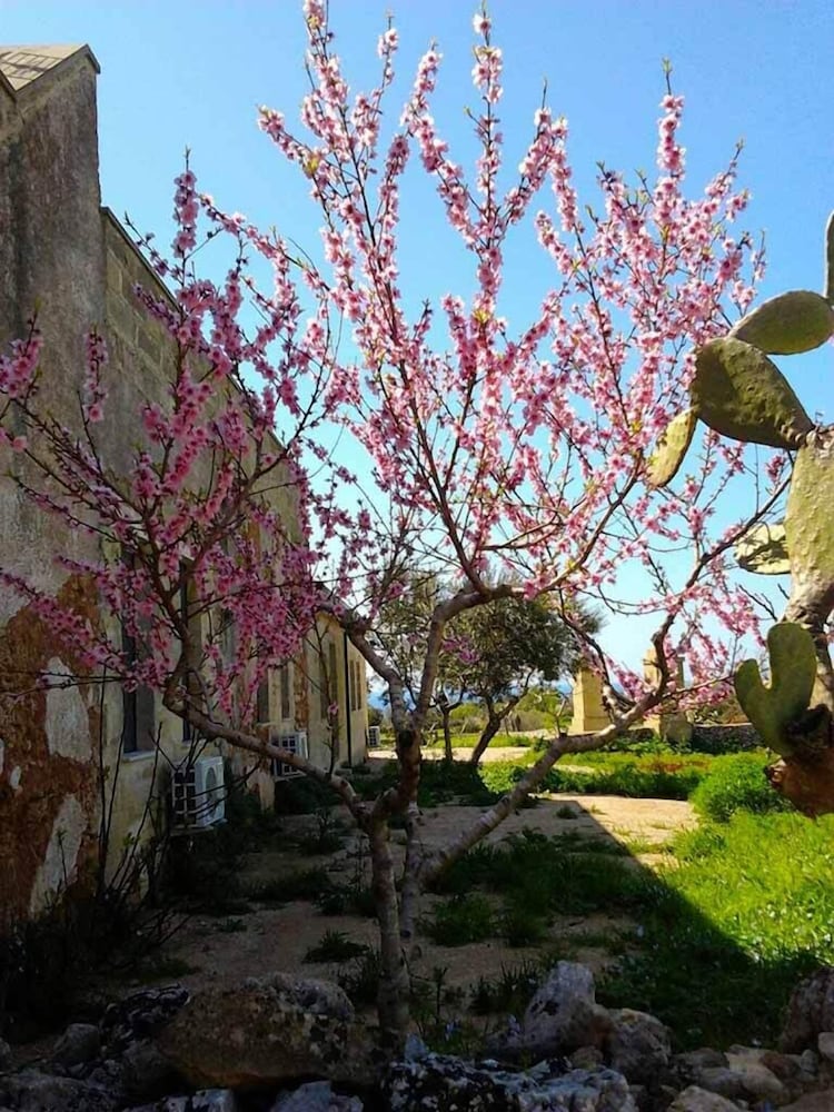 Antica Masseria Ficazzana