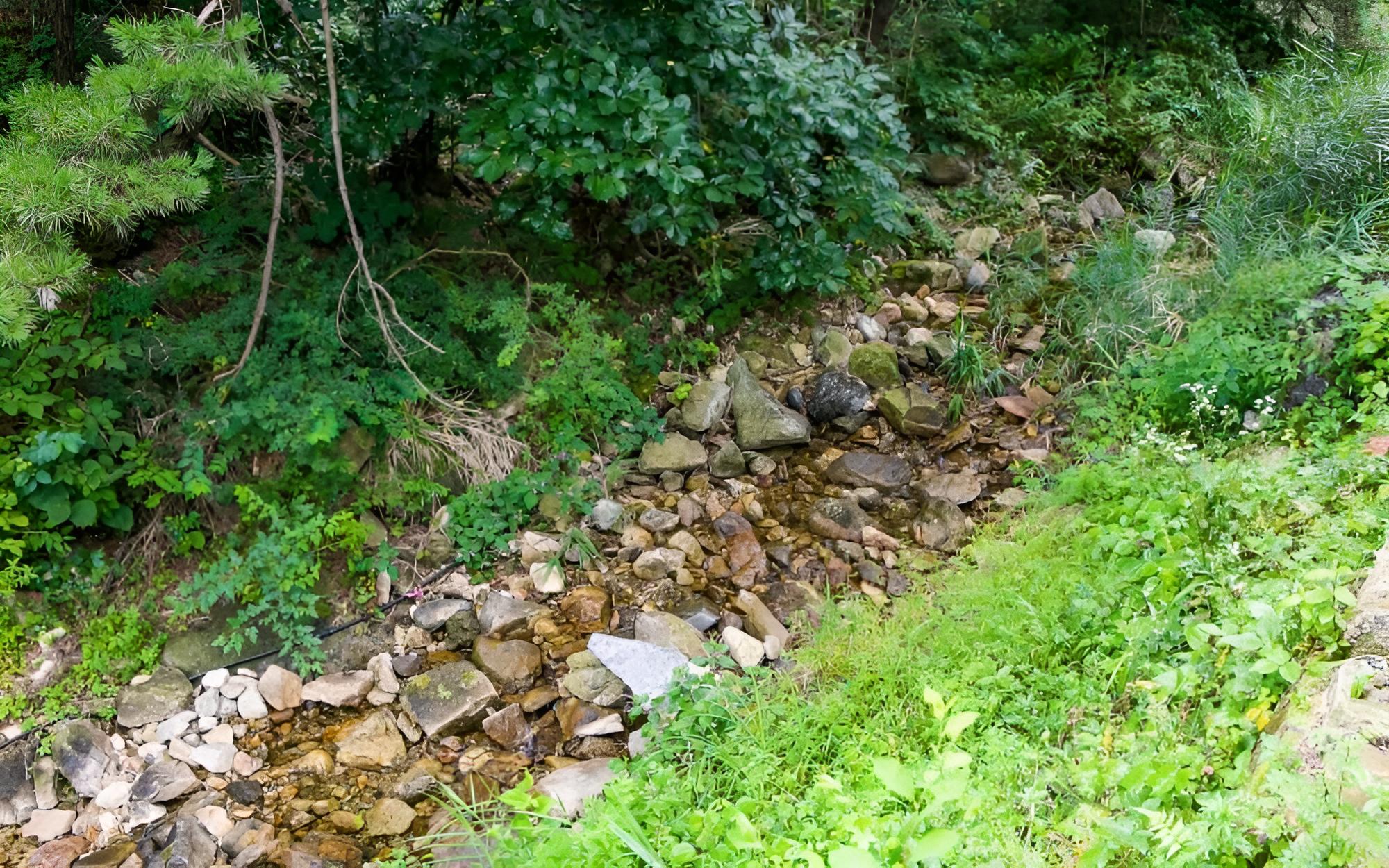 Youngwol Dudeokgol Hyu Pension view 4