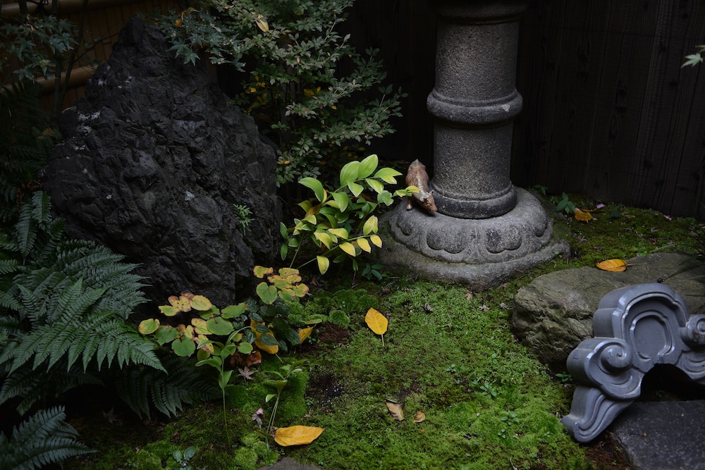 Guesthouse Bokuyado - Hostel