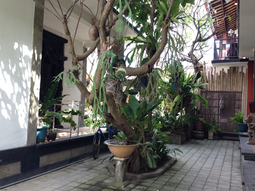 Double N Guesthouse