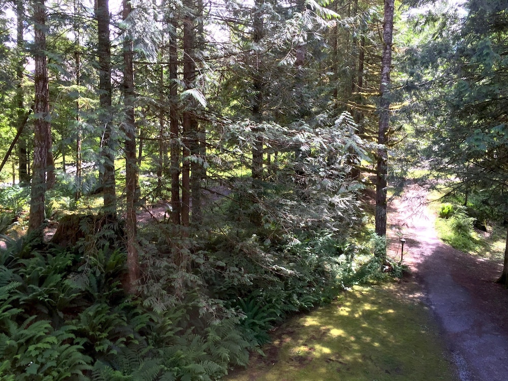 57SW - Fireplace - WiFi - Sleeps 6