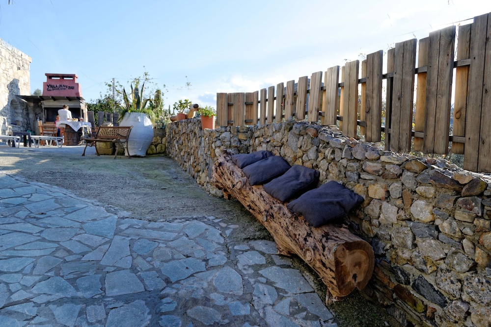 Villa Olive Tree