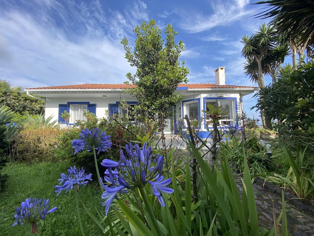 Quinta dos Bravos — photo 5