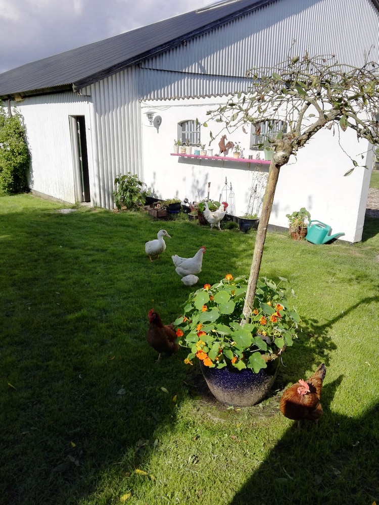 Møn Økologisk B&B