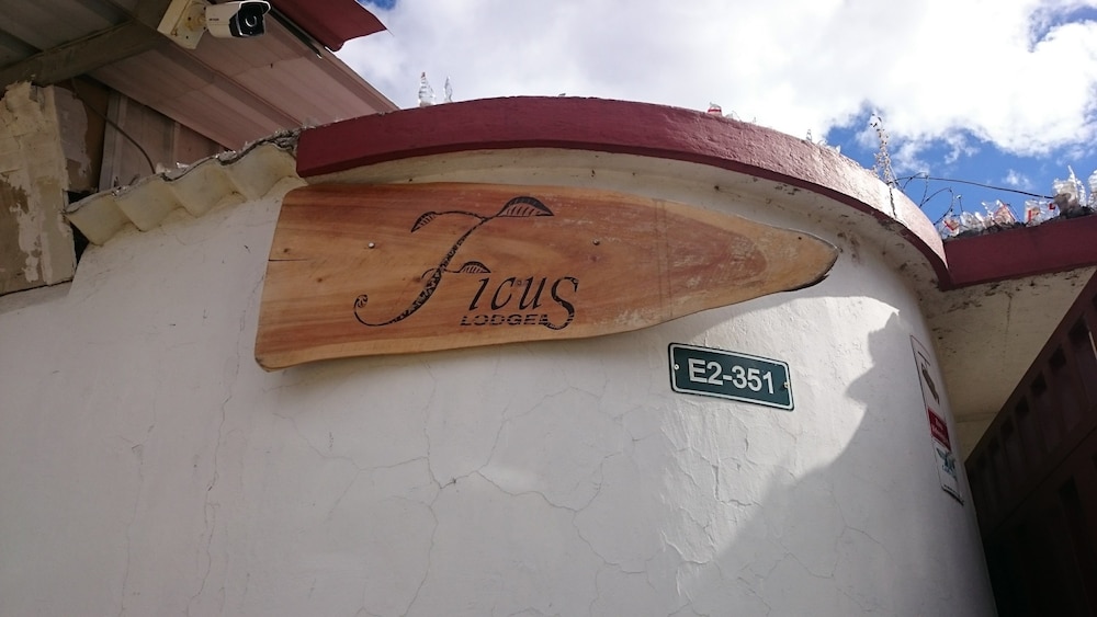 Ficus Lodge