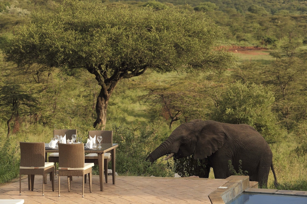 Spirit Of The Masai Mara