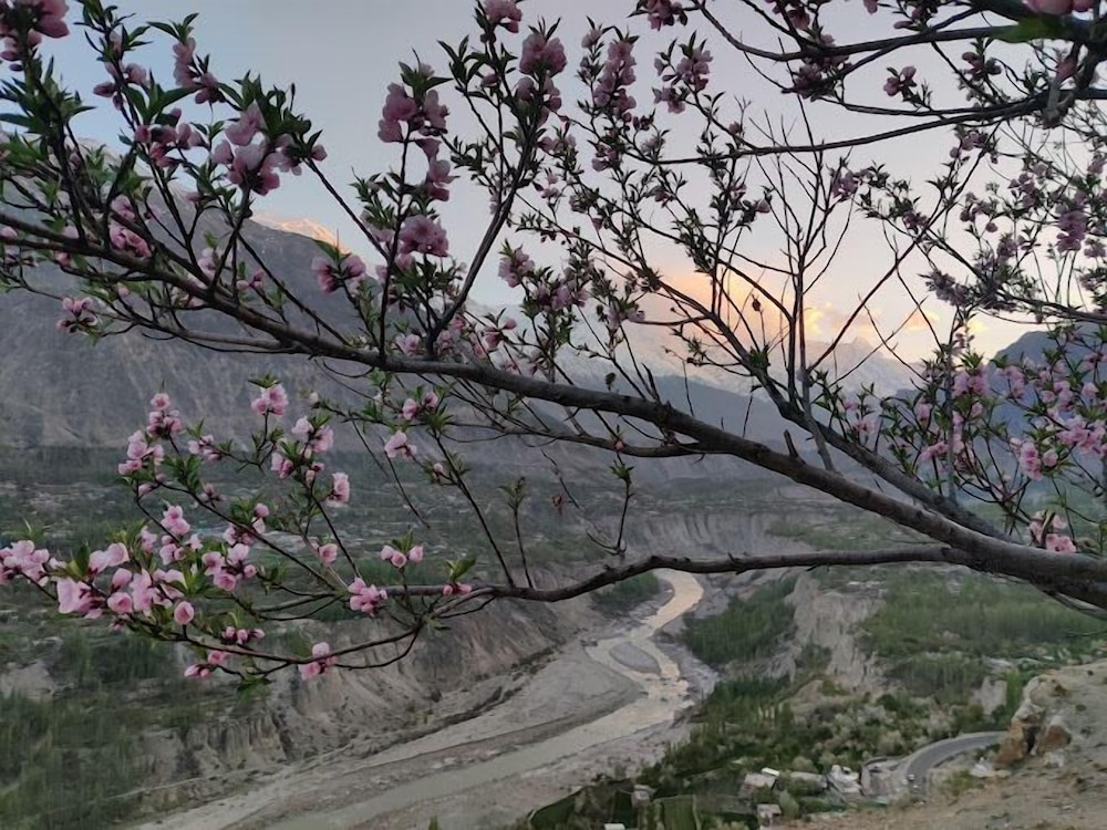 Sakura Lodges Hunza view 5
